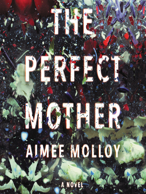 Title details for The Perfect Mother by Aimee Molloy - Wait list